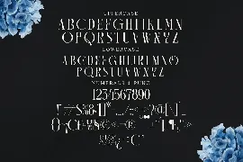 Camaroon Megalord Serif Font