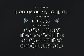 Camaroon Megalord Serif Font