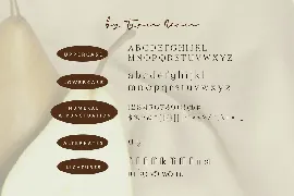 Avokovie - Beauty Aesthetic Elegant Serif font