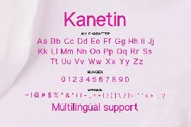 Kanetin-Beautiful Sans Serif Font