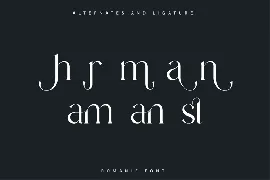 Elegant Serif Modern Display Font