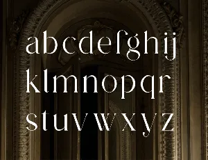 Elegant Serif Modern Display Font