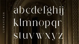 Elegant Serif Modern Display Font