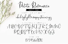 Petite Romance | Handcrafted Script Font