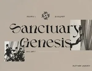 Qriyan - A Unique Serif Typeface font