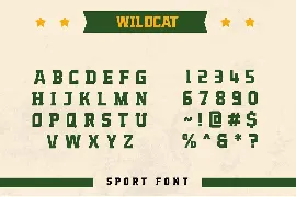 Wildcat - Varsity Sport Typeface font