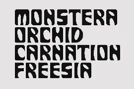 Derania - Monstera Font