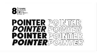 Point Panther (8 BOLD FONTS)