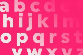 Hoglar Sans Display font