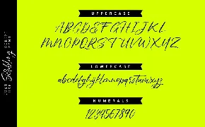 Scribbling | Uniquely Handwriting Script Font