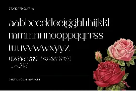 Bumerang - Display Logo font