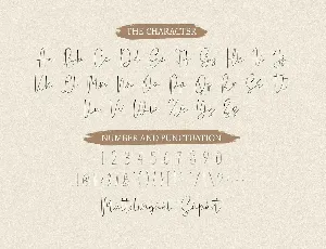 Madyra font