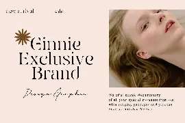 Eiosaka - Beauty Elegant Stencil Serif Font