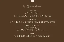 Eiosaka - Beauty Elegant Stencil Serif Font