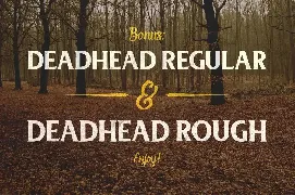 Deadhead Script font