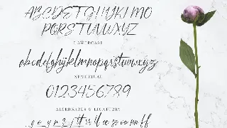 SBR Signastory font