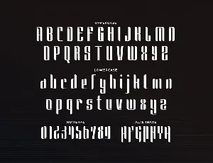 Saunders - Unique Display Font