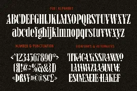 Grischel Condensed Serif Display font