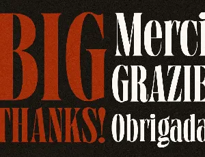 Grischel Condensed Serif Display font