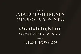 West Moscow - An Elegant Serif Typeface font