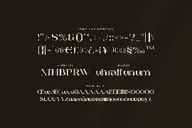 West Moscow - An Elegant Serif Typeface font