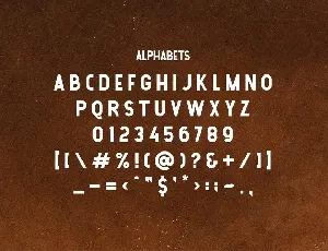 Panthera Monoletter font