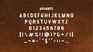 Panthera Monoletter font