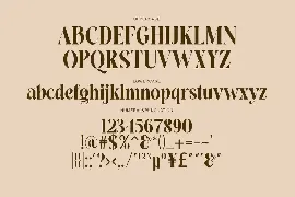 Elegant Luxury Serif Font