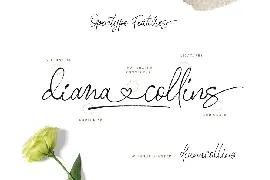 Stephen & Gillion - Signature Script font