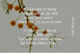 Spring Melody - Humanist Typeface font