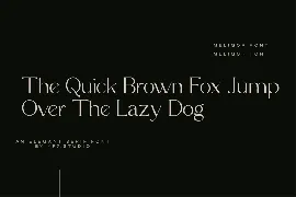 Modern Elegant Serif Font