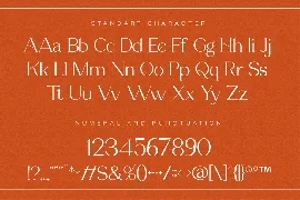 Modern Elegant Serif Font