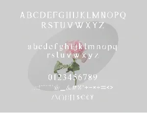 Astina Serif Font