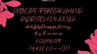 Soulsteps Signature Font