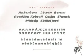 Nebora font