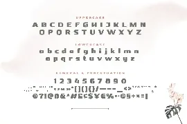 Nebora font