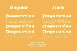 Hidden Cocktails - Family Fonts