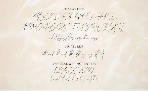 Holdgone Font