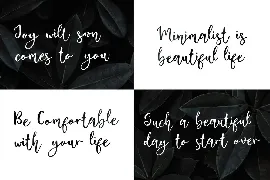 Baggi Script font