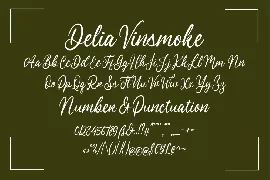 Delia Vinsmoke - A Script Font