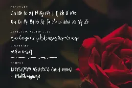 Bitter Rose - Brush Font (+TEXTURES)