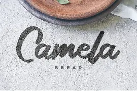 Gargilla | Elegant Typeface Script Font