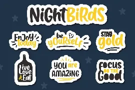 Night Birds font