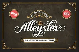 Alleyster font