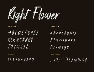 Right Flower Brush Handwritten Font