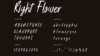 Right Flower Brush Handwritten Font