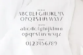 Oleana - Elegant Typeface font