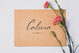 Rationale Signature Font