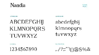 Nandi Modern Serif Font