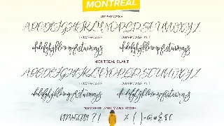 Montreal Script Font